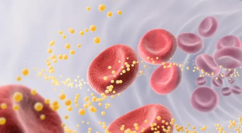 Wichtige Aktualisierung der Cholesterin-Richtlinien: Was jeder Erwachsene wissen muss