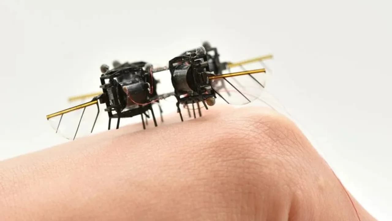MIT entwickelt einen künstlich intelligenten Mikro-Roboter, der wie ein Insekt fliegen kann