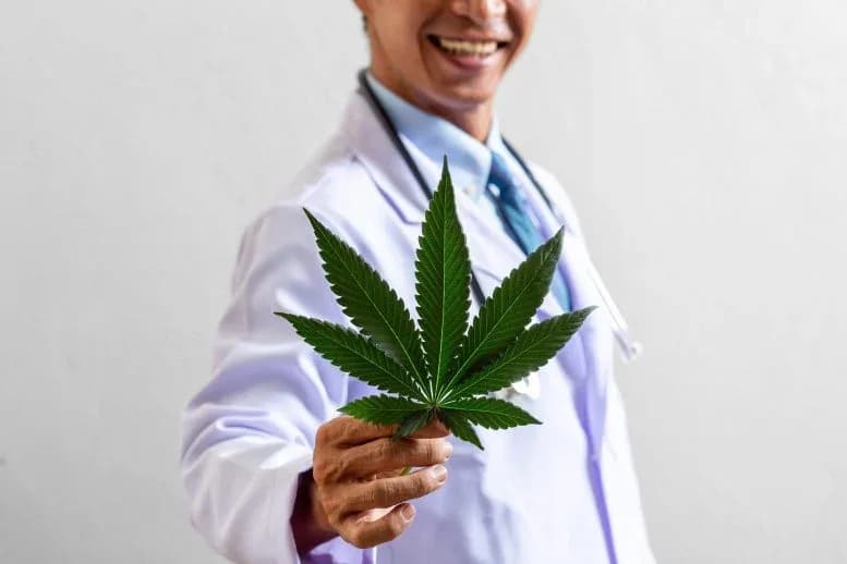 Forscher entdecken Cannabis-Verbindungen gegen Fettleibigkeit ohne Rausch