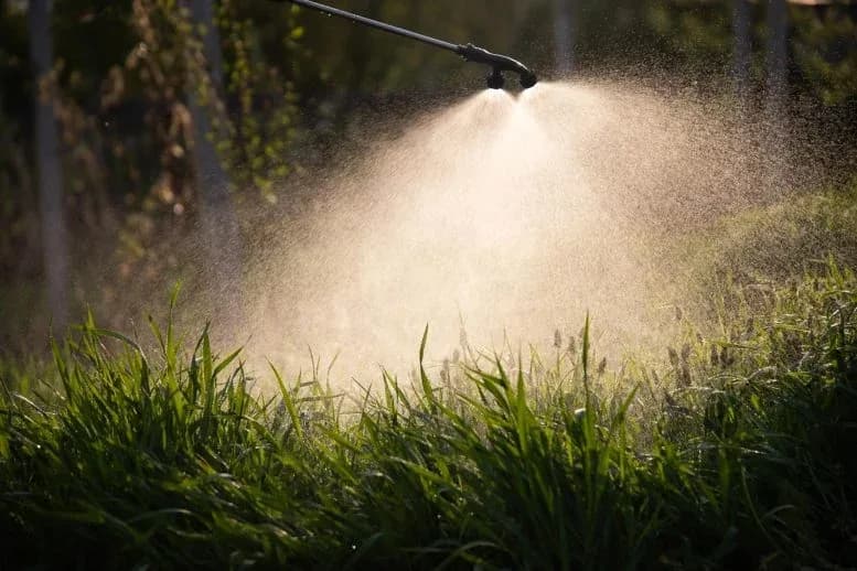 Weltweit meistgenutztes Unkrautgift stört Bienenhirn
