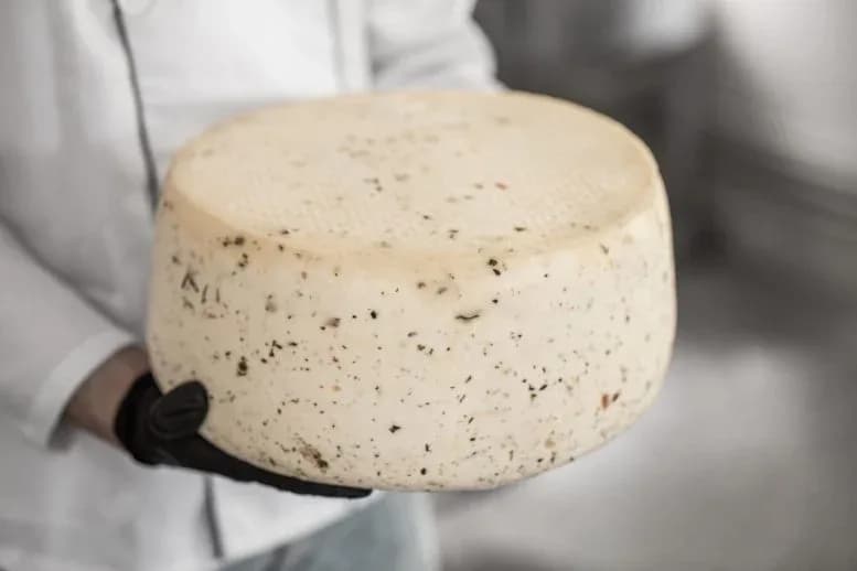 Wissenschaftler enthüllen die Bakterien hinter handwerklichen Käsen – und sie könnten gesund sein