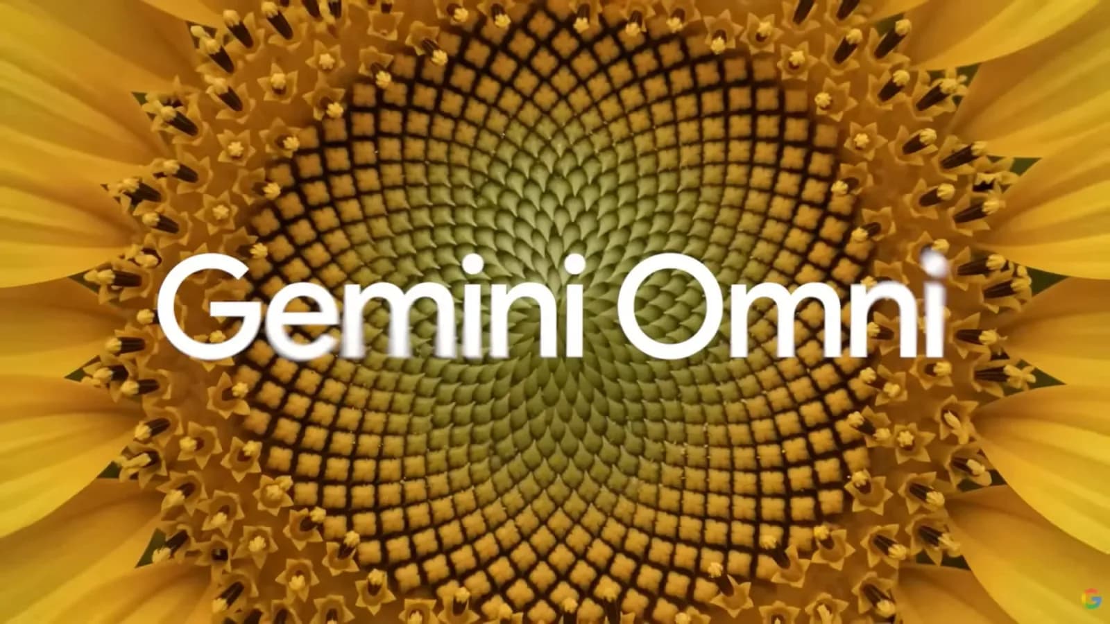Gemini Omni Flash: Intelligente Videoproduktion für Gemini und Shorts