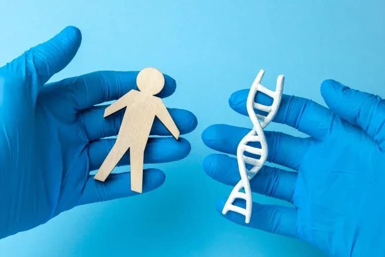Alte DNA widerlegt einfache Narrative zur Entstehung Europas