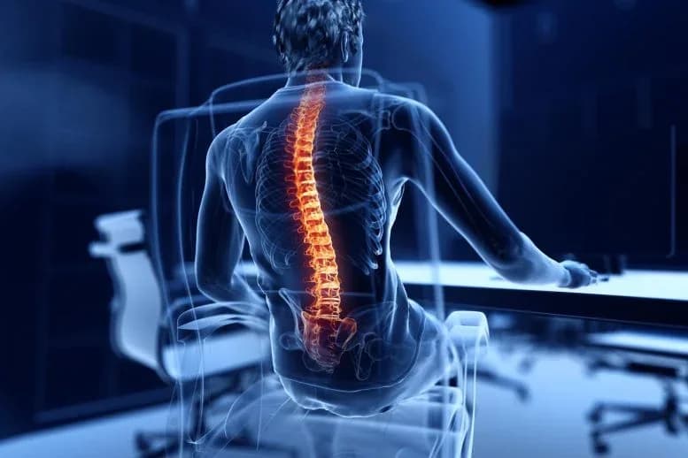Wissenschaftler warnen: Zu viel Sitzen schädigt den Körper auf überraschende Weise