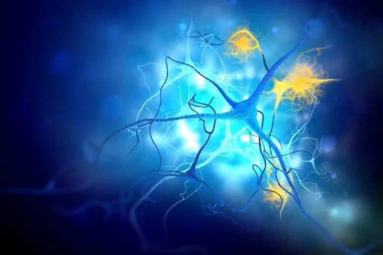 Wissenschaftler entdecken verstecktes Alzheimer-Ziel und entwickeln erstes Kontrollmittel