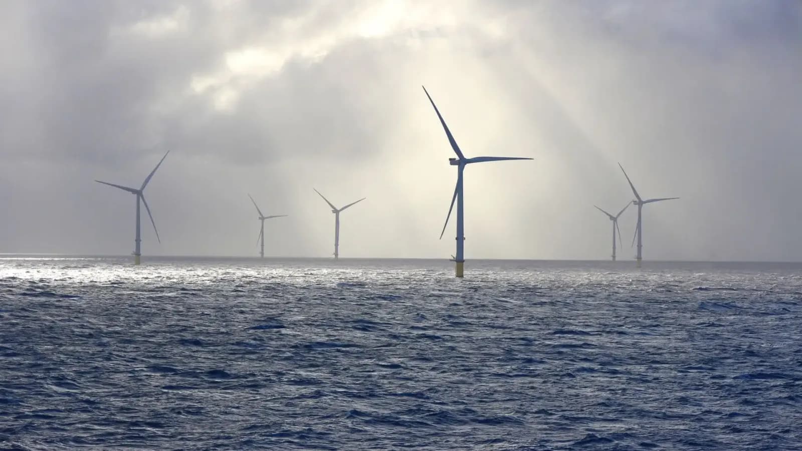 Japans geplante weltweit größte schwimmende Offshore-Windfarm mit 1 GW Leistung