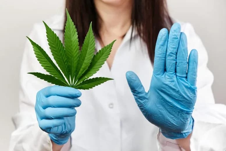 Studie warnt: Cannabis-Konsum bei Jugendlichen erhöht Risiko für schwere psychische Erkrankungen