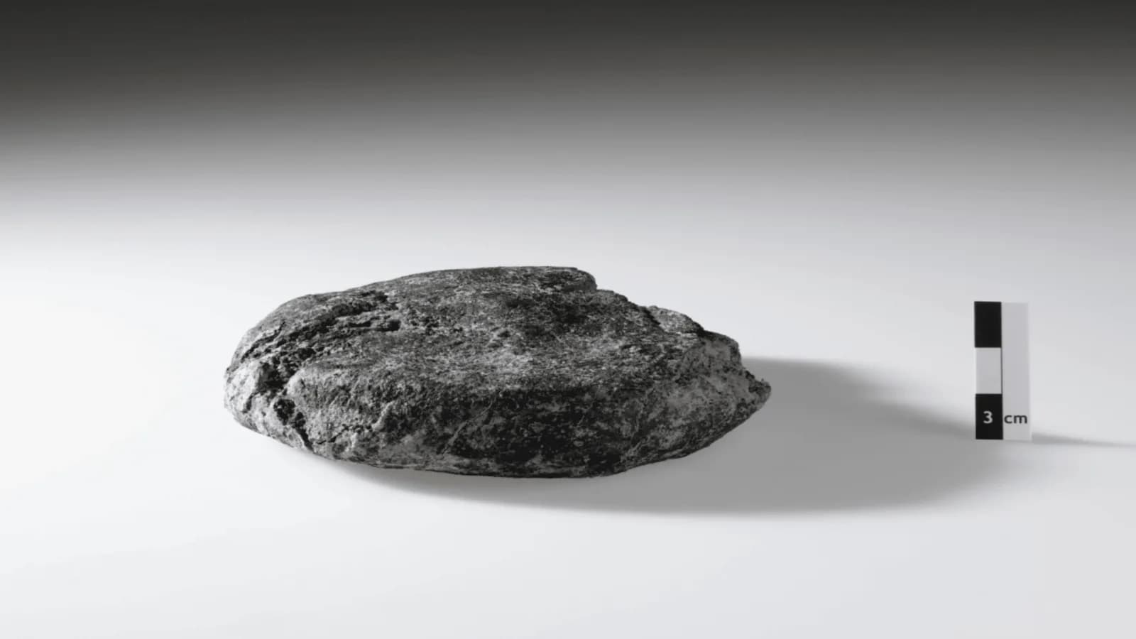 Entdeckung eines römischen Brotes in der Schweiz verblüfft Archäologen
