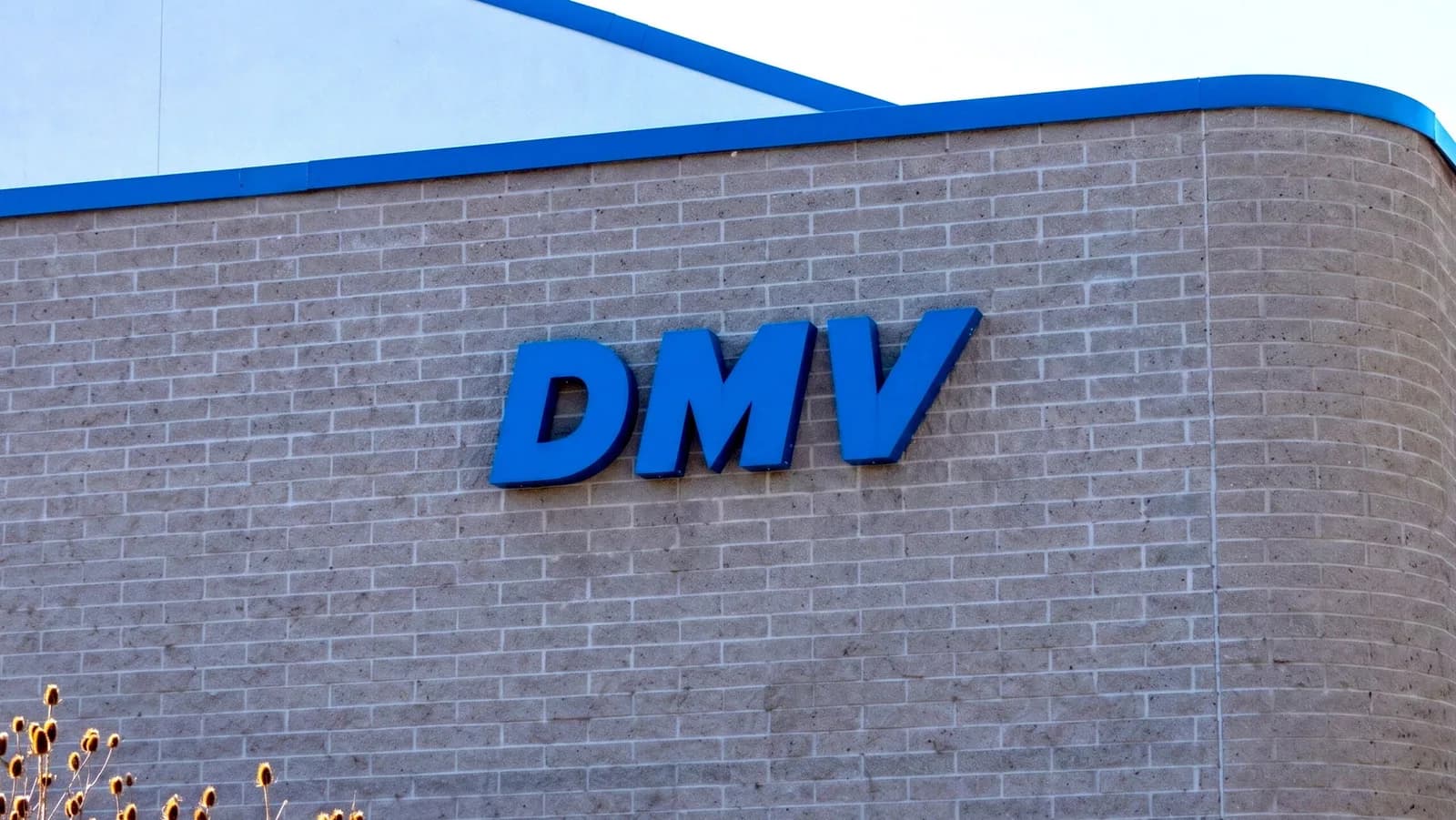 Kaliforniens DMV versteigerte 5.300 Autos zur Deckung von Schulden und behielt den Überschuss ein