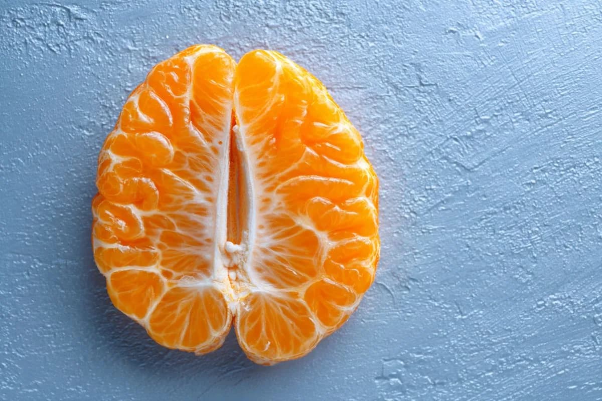Niedrige Plasmaspiegel von Vitamin C korrelieren mit geringerer grauer Substanz und Lücken in neuronalen Netzwerken