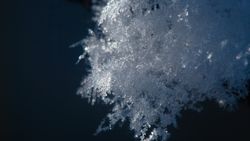 Negative time experiment clears peer review as photons appear to leave an atom cloud before entering — groundbreaking quantum 'negative time' proven after 1 million test runs
