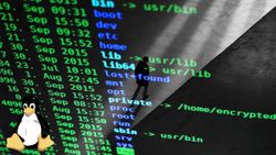 AMD leaves Linux FPGA users in the lurch with controversial Vivado licensing update — new tier model restricts future free versions to Windows