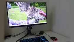 Acer cranks its latest Predator gaming monitor up to 1,000 Hz — Model joins lineup with QD-OLED panels and an immersive 3D display