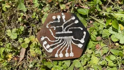 Electronics buff hand-draws and etches custom PCBs at home — functional home-etched PCB runs a 3D-printed fume extractor fan