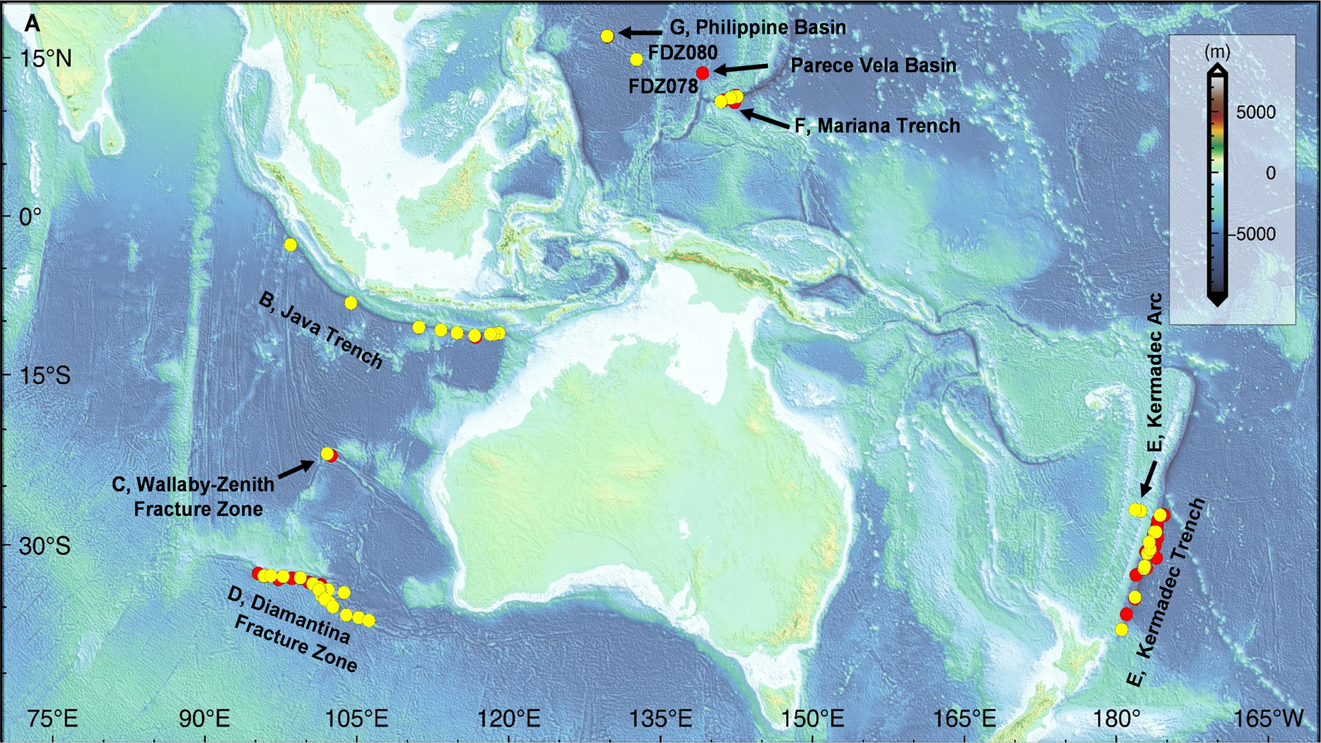 Chinesische Forscher entdecken florierendes Ökosystem in 30.000 Fuß Tiefe