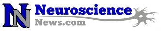 Brain-First-Hypothese: Neue Deutung der Kambrium-Explosion