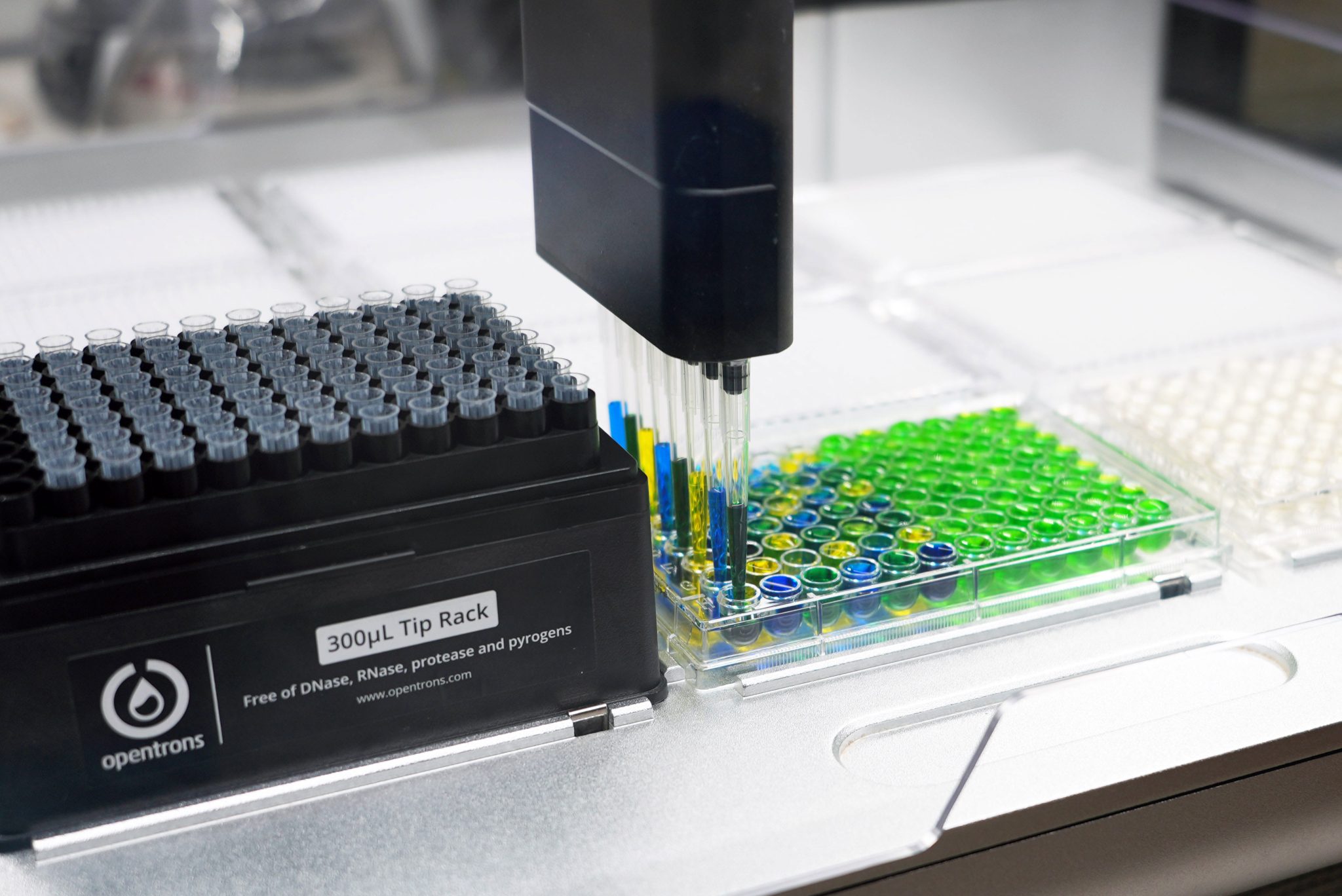 Researchers Discover Natural Compound That Disarms Deadly Superbug