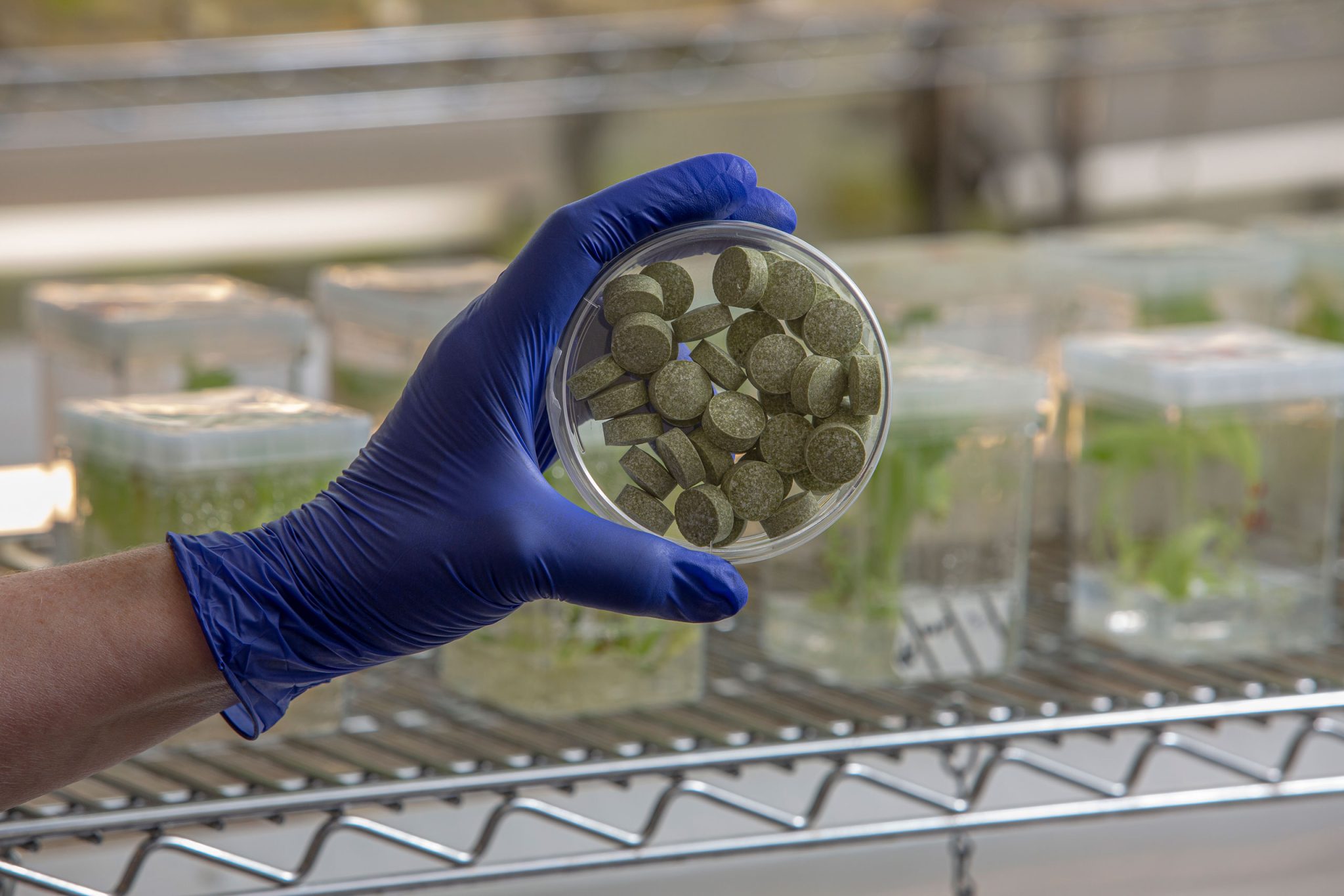 Wissenschaftler entwickeln bio-engineered Kaugummi, der bei der Bekämpfung von Mundkrebs helfen könnte