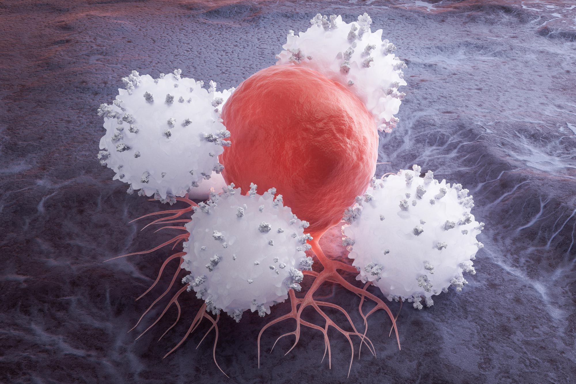 Wissenschaftler finden Weg, Immunzellen zu ernähren, ohne Krebs zu fördern