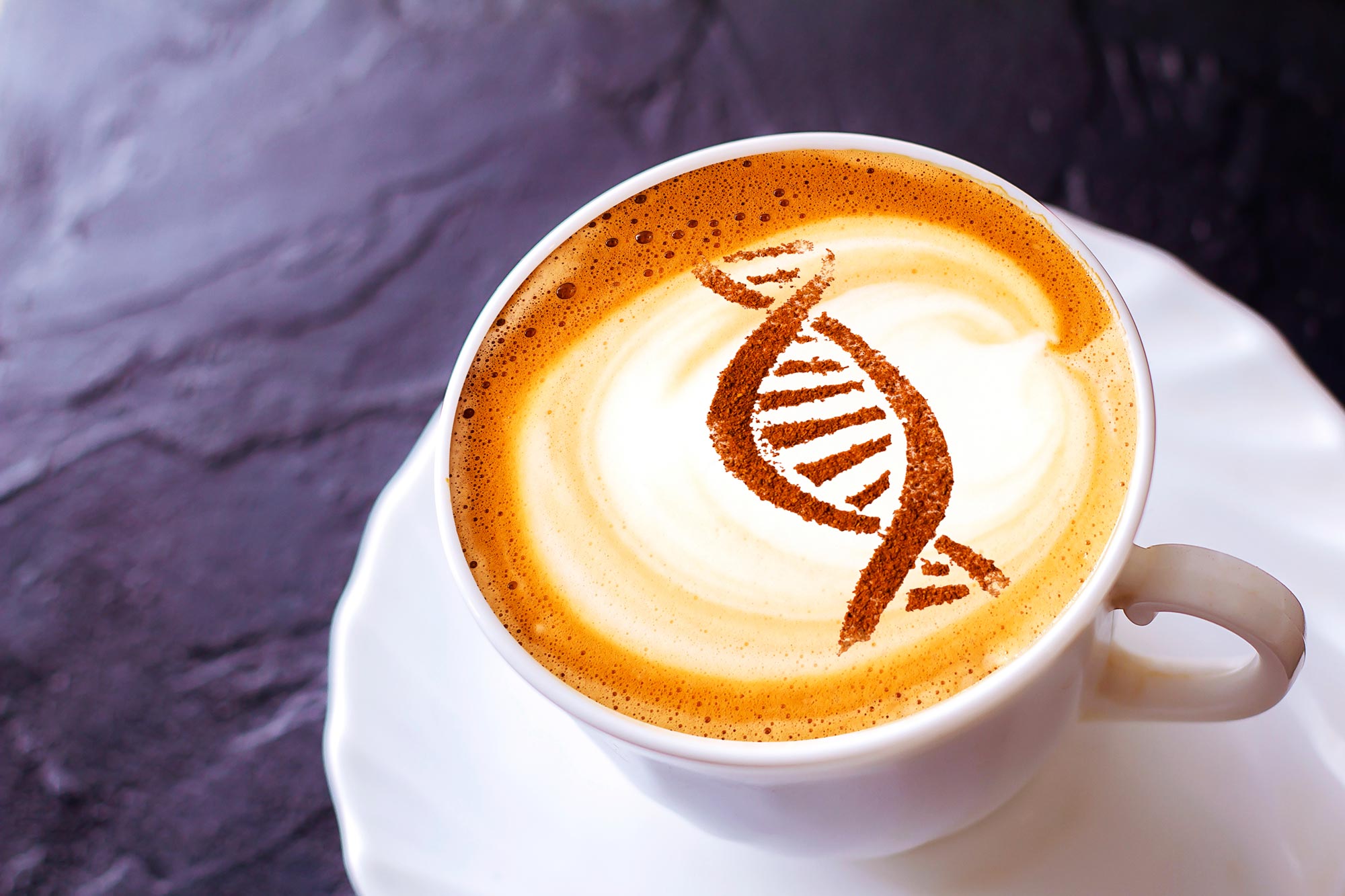 New Research Reveals That Your Morning Coffee Activates an Ancient Longevity Switch