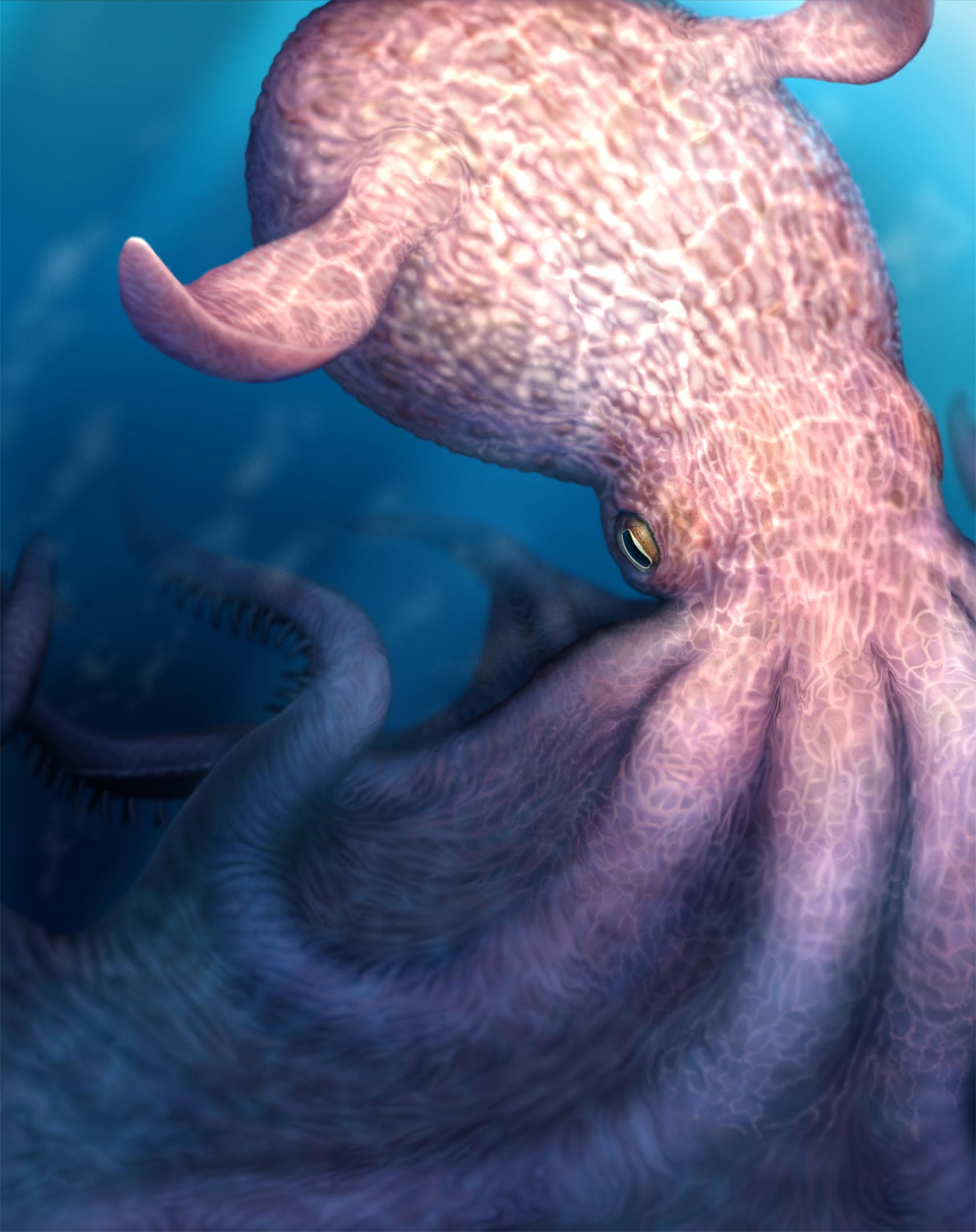 Gigantische Kraken beherrschten vor 100 Millionen Jahren die Meere