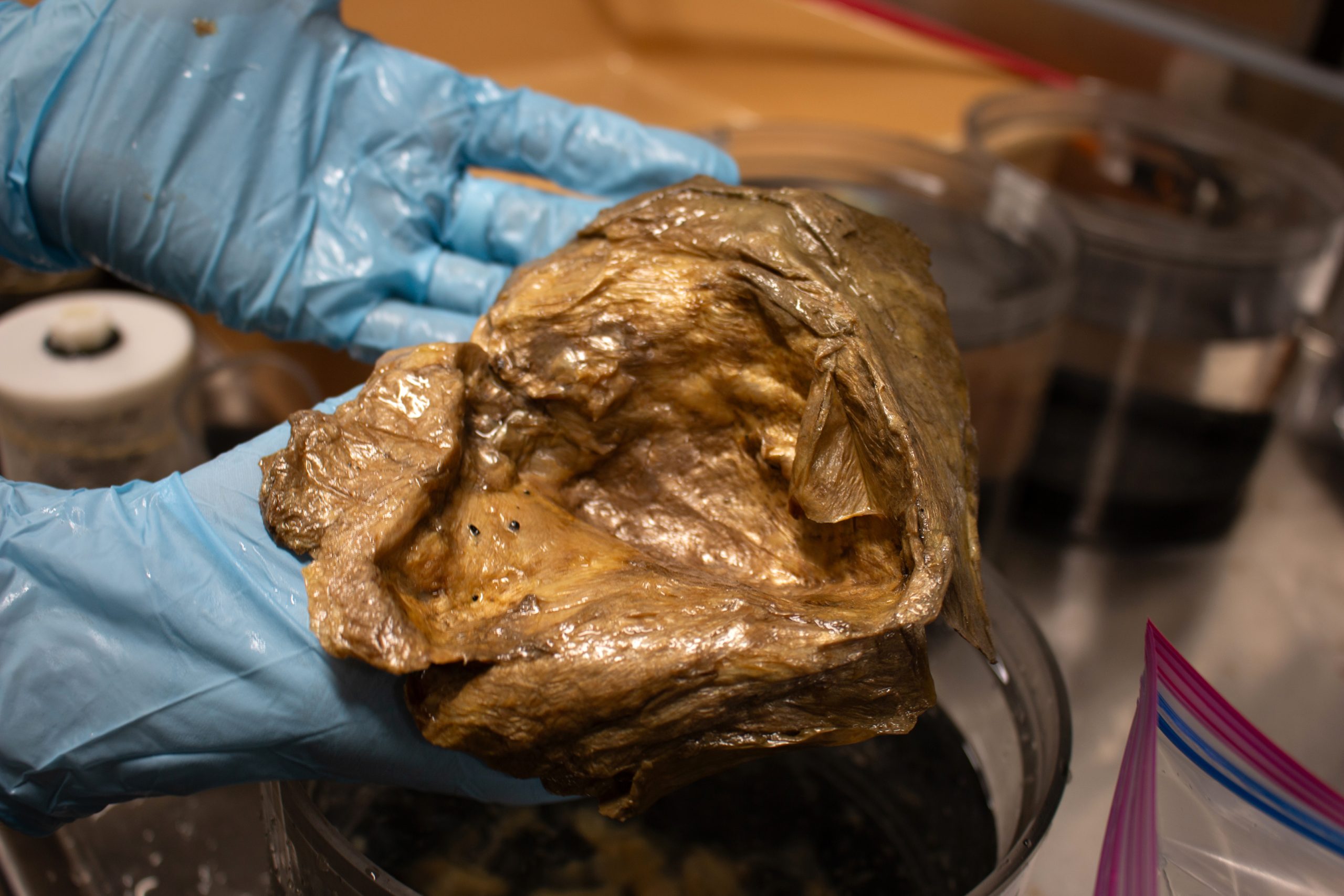 Mysteriöses „Goldener Ball" in 3.200 Metern Tiefe rätselt Wissenschaftler seit Jahren