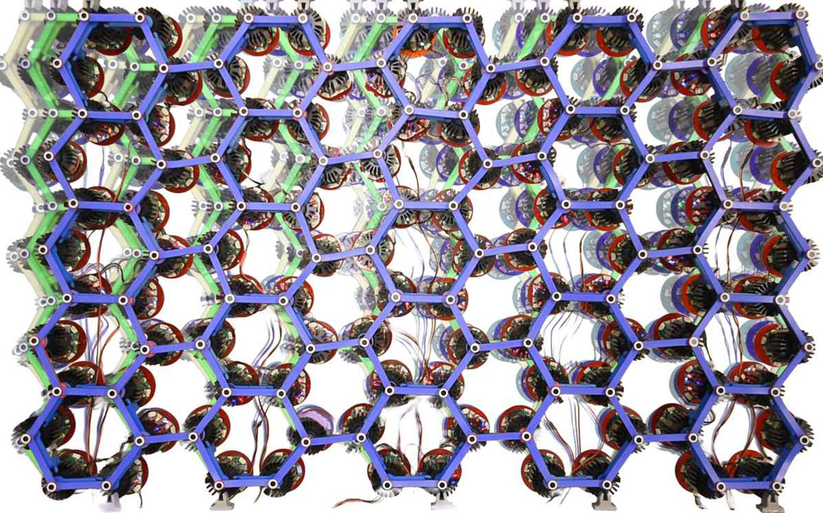 Wissenschaftler erschaffen lebendige Materialien, die eigenständig kriechen, laufen und graben