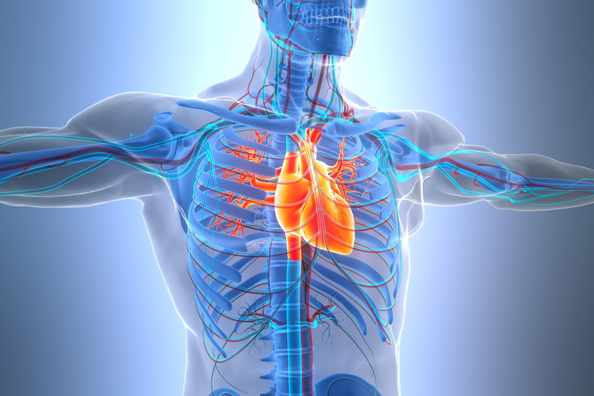 Dieser einfache Bluttest könnte „schlechtes Cholesterin“ bei der Vorbeugung von Herzerkrankungen übertreffen