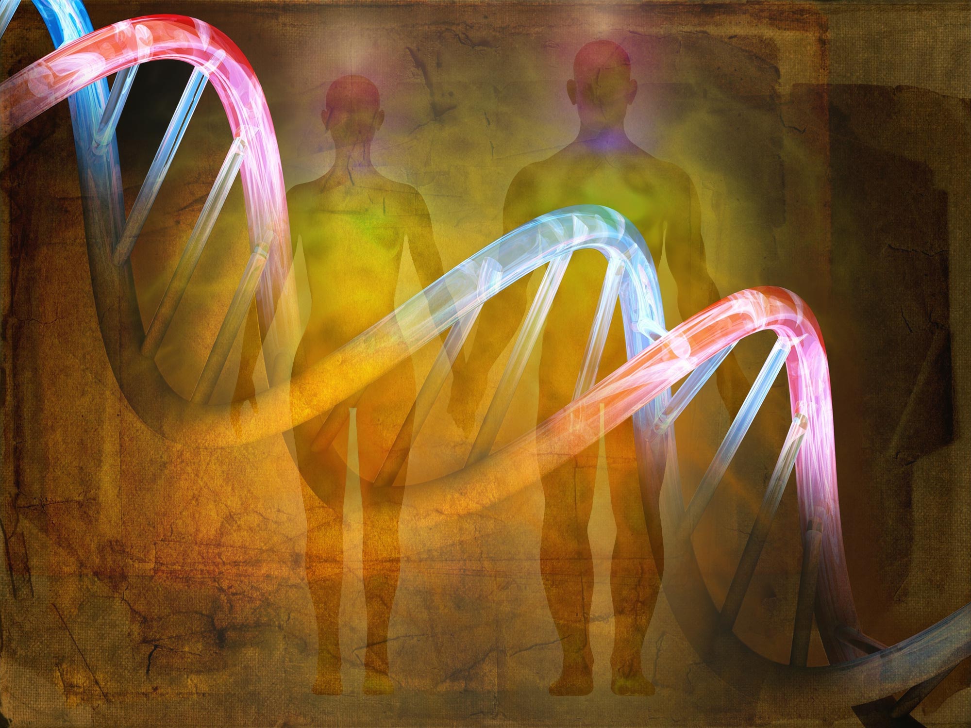 Studie zu altgenetischem Material enthüllt: Die menschliche Evolution schreitet schneller voran als angenommen