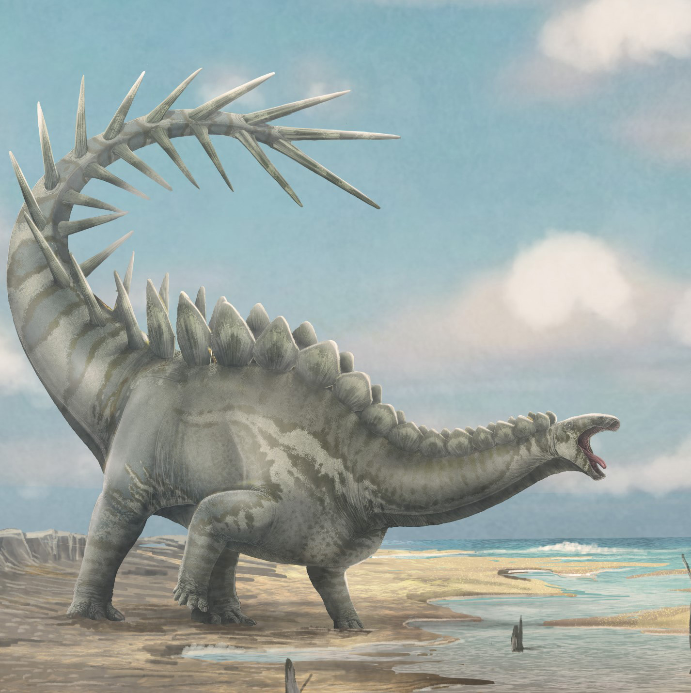 Entdeckung eines bemerkenswerten 150 Millionen Jahre alten Stegosaurierschädels: Neue Einblicke in die Dinosaurierevolution