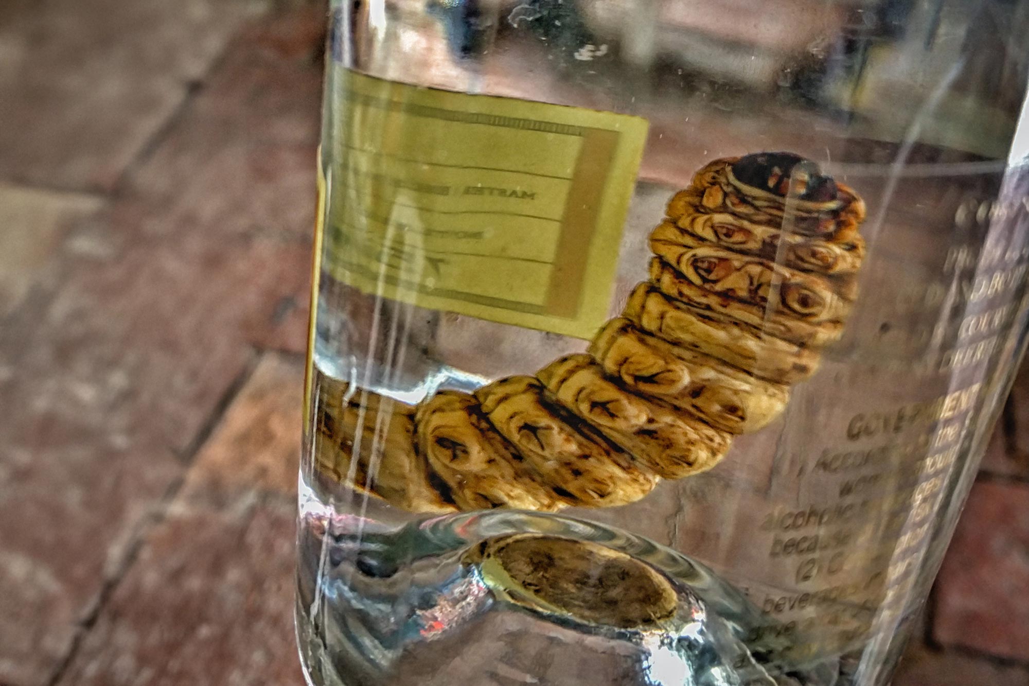 Mezcal-Geheimnis: DNA-Test enthüllt Überraschung bei „Worm“