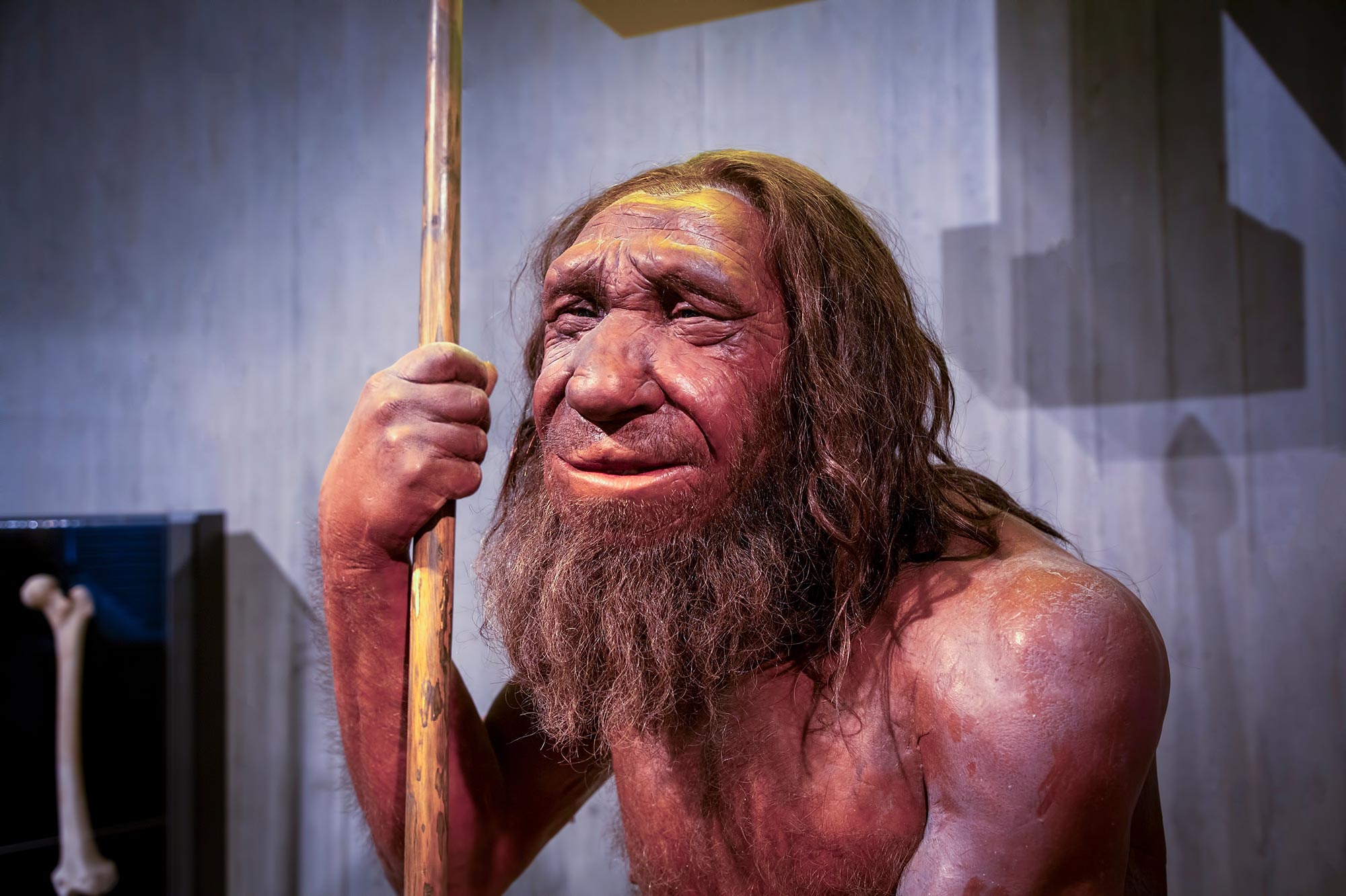 Die „Liebesgeschichte“ der Neandertaler ist trügerisch