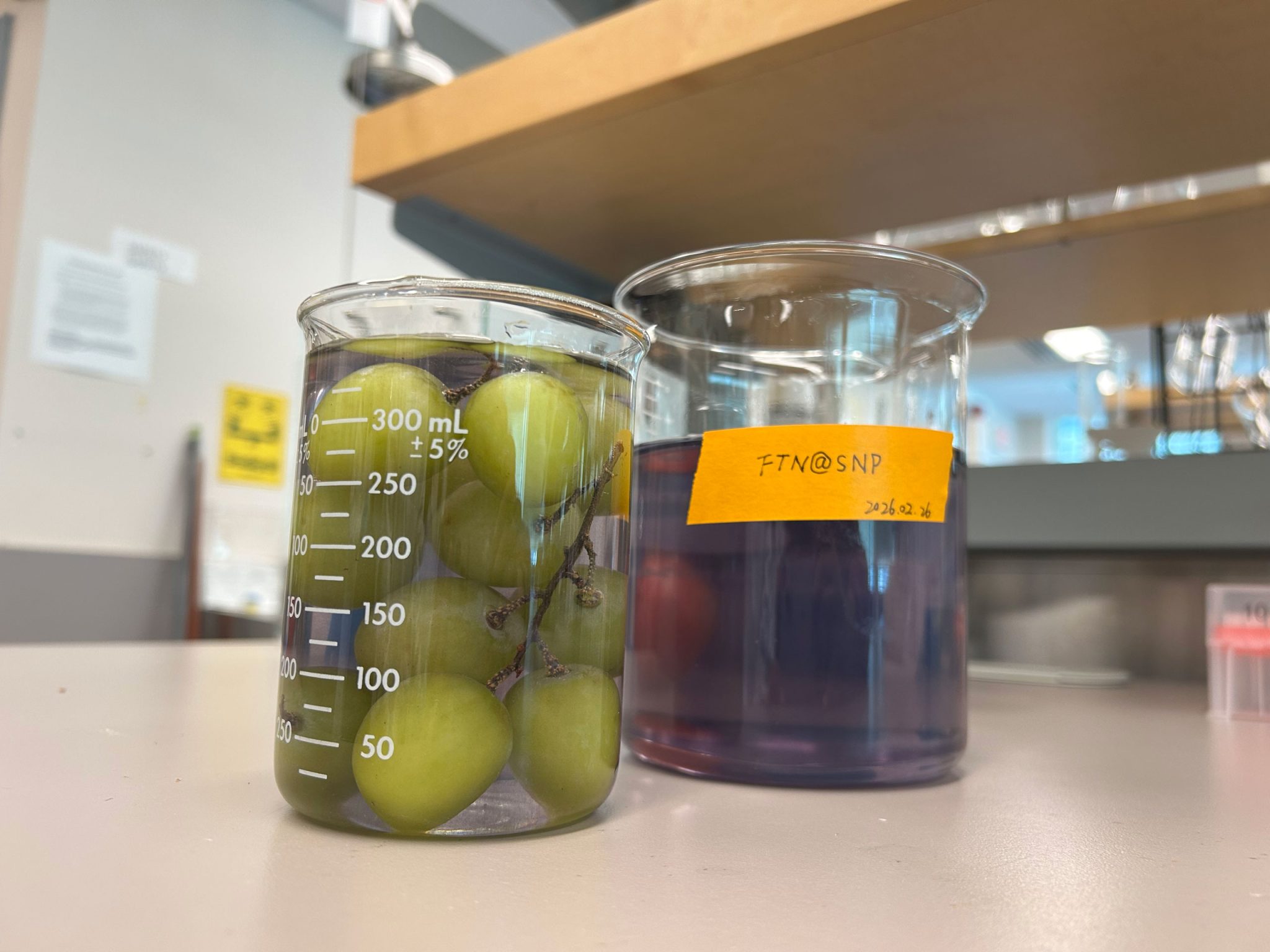 Dieses einfache Obst-Gemüse-Waschmittel macht Ihre Produkte sicherer und hält sie länger frisch