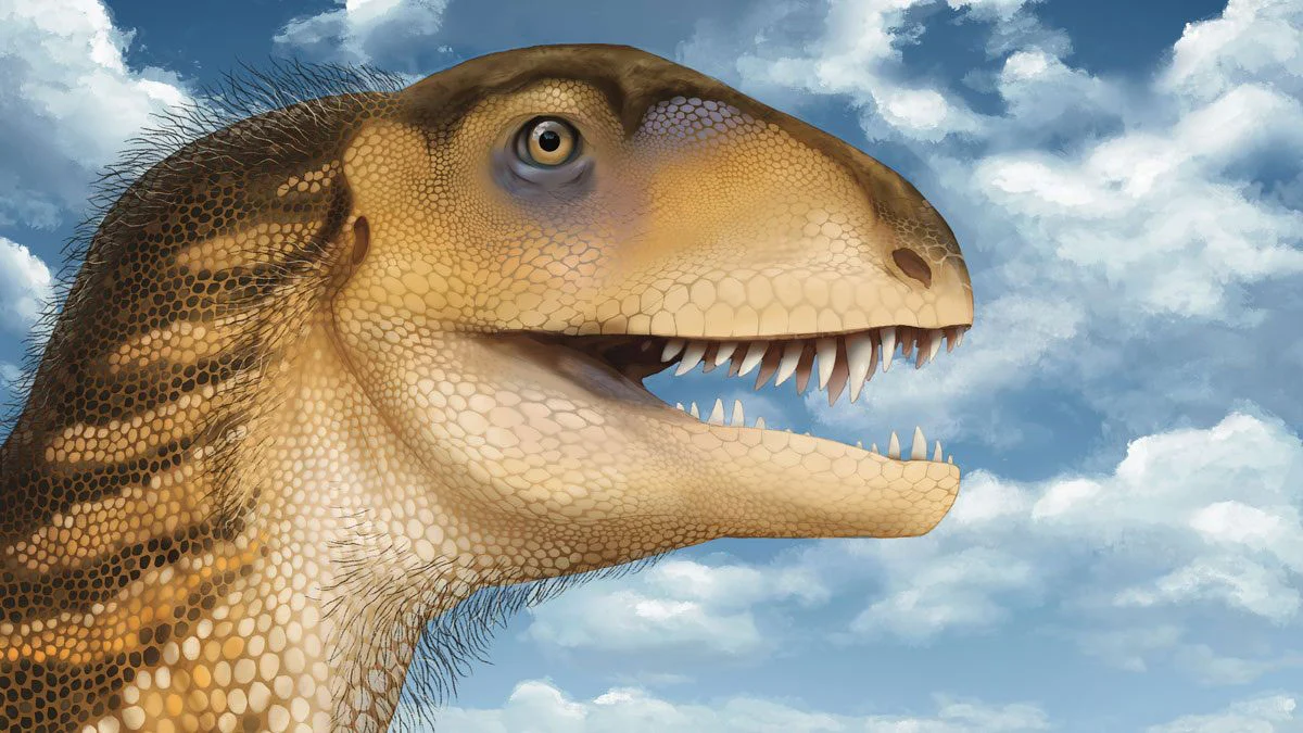 Student identifiziert bizarren neuen karnivoren Dinosaurier, der dreimal älter als T. rex ist