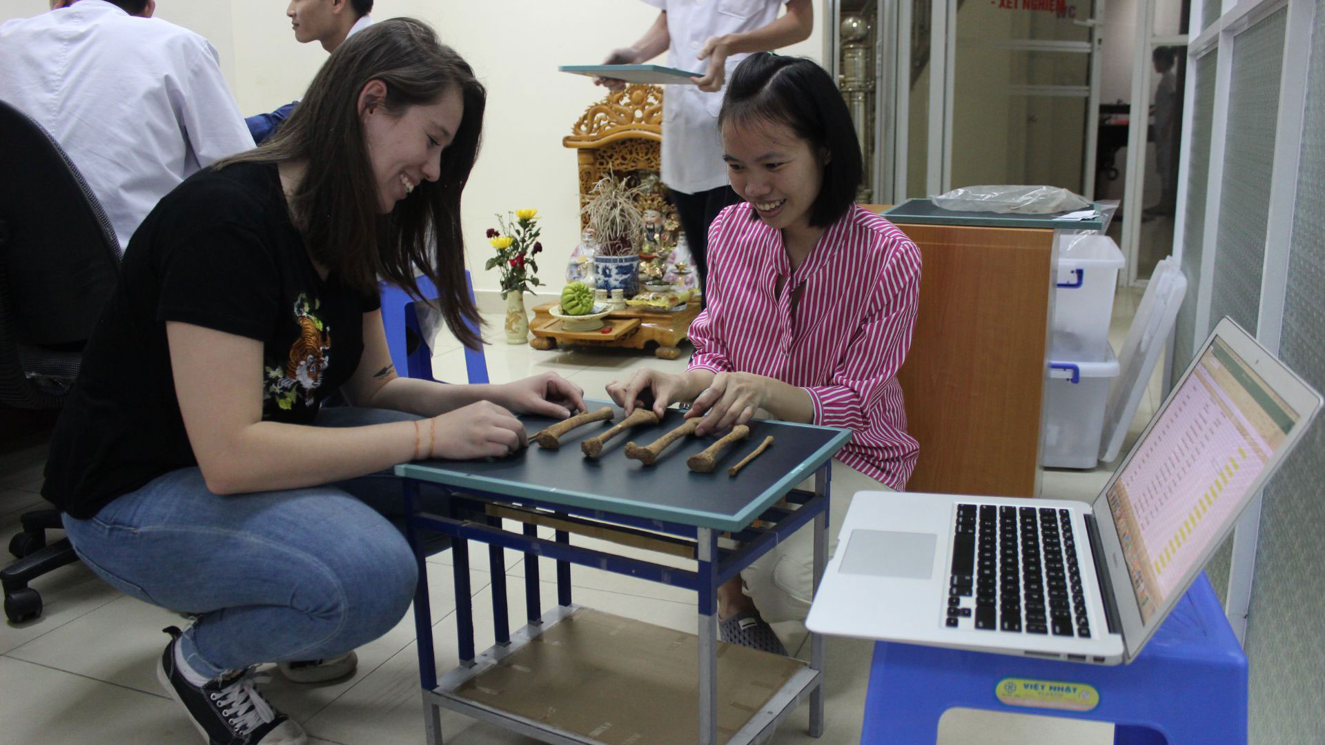 Alte „Syphilis-ähnliche“ Krankheit in Vietnam stellt zentrale wissenschaftliche Annahmen in Frage