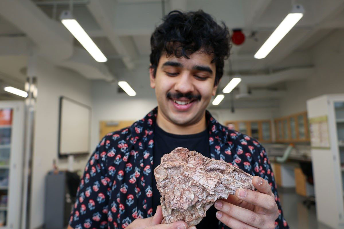 Student identifiziert bizarren neuen karnivoren Dinosaurier, der dreimal älter als T. rex ist