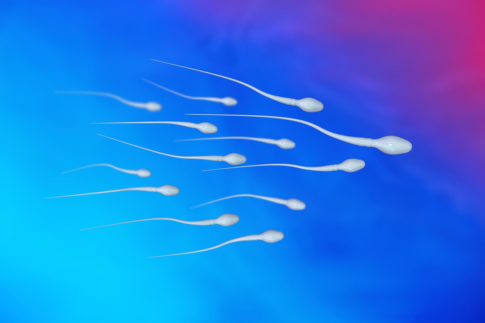 Männliche Empfängnisverhütung: Forscher entwickeln Methode zur reversiblen Unterbrechung der Spermienproduktion