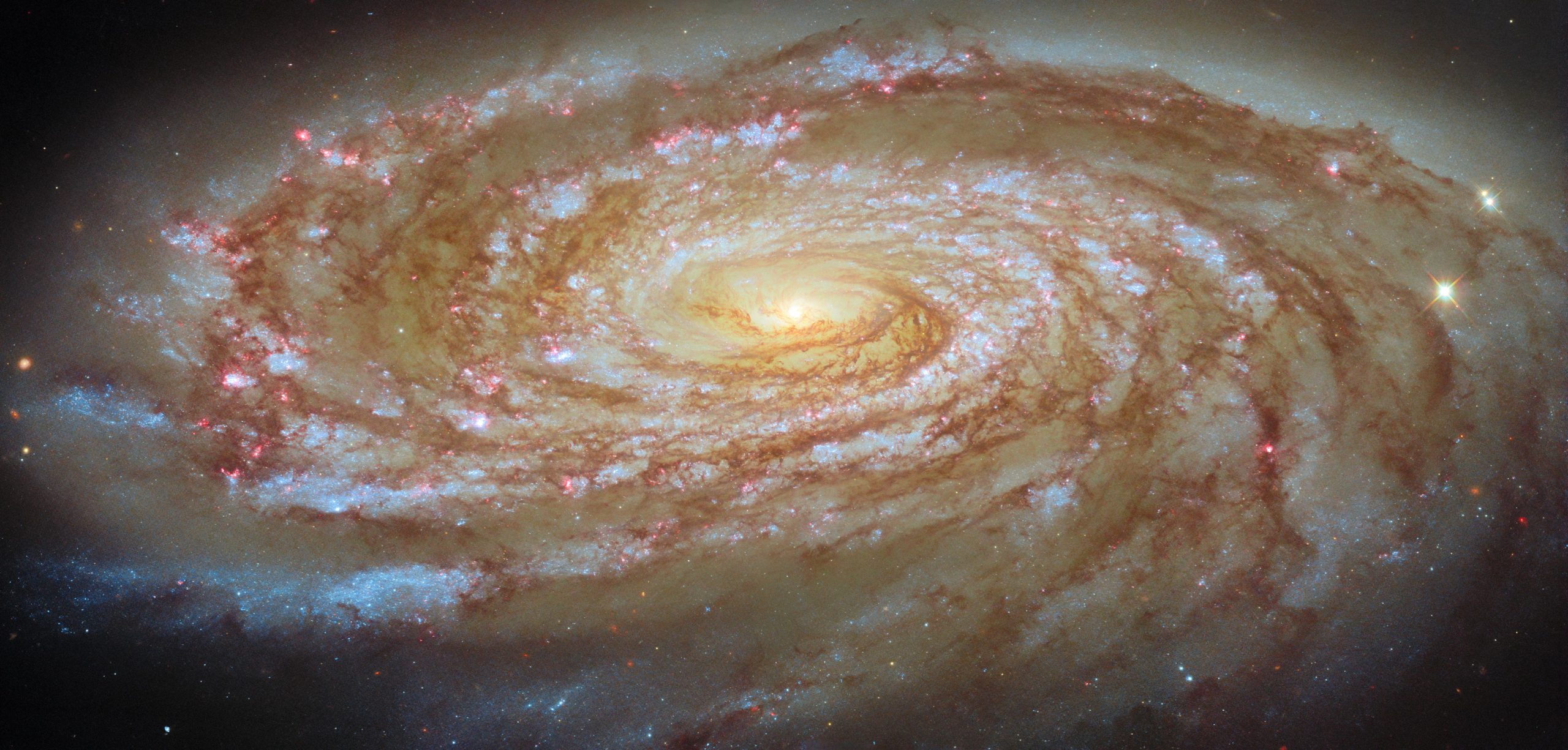 Hubble zeigt: Spiralgalaxie verliert langsam ihre Zukunft