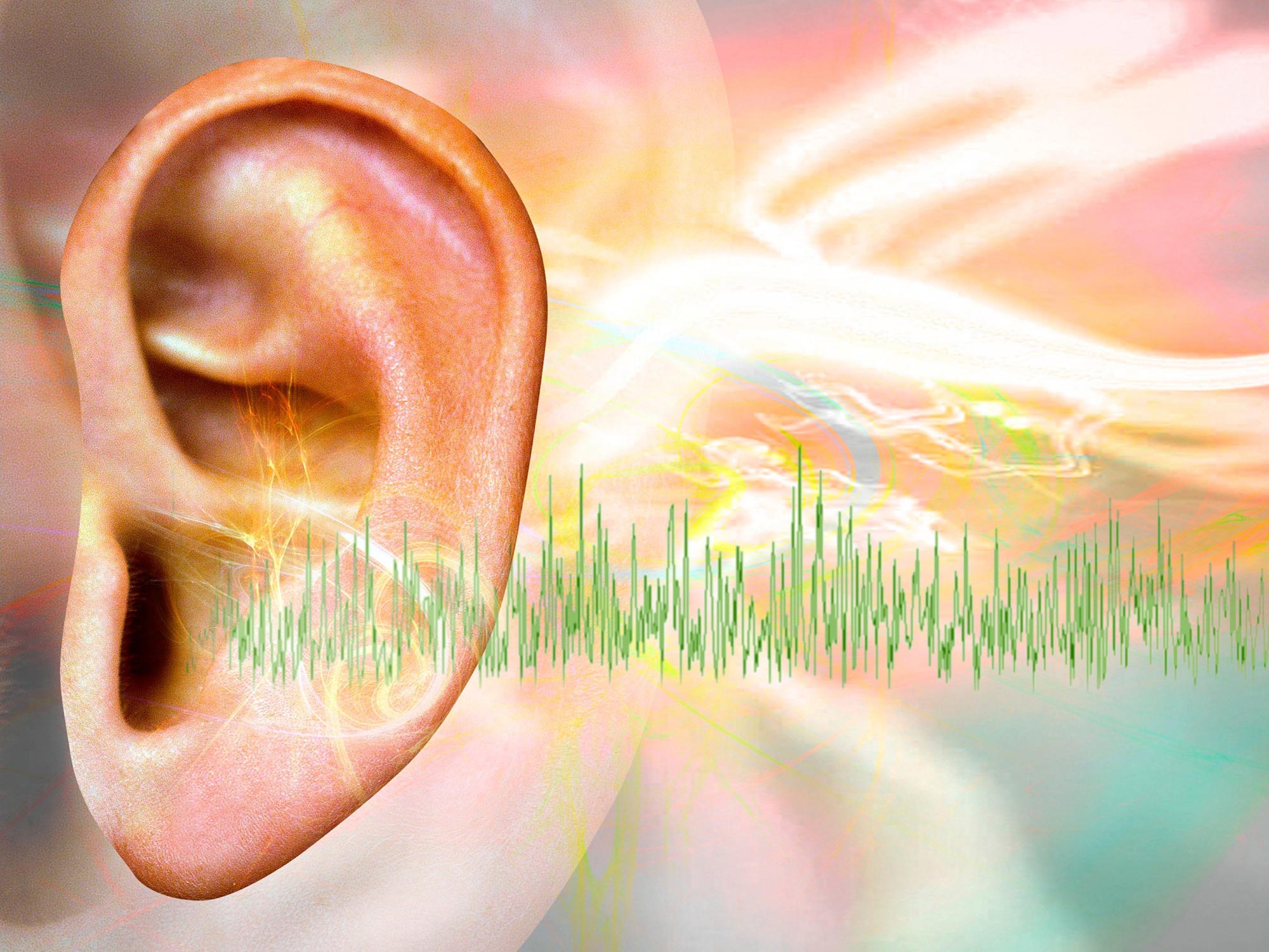 Wissenschaftler enthüllen, wie Serotonin Tinnitus auslösen kann
