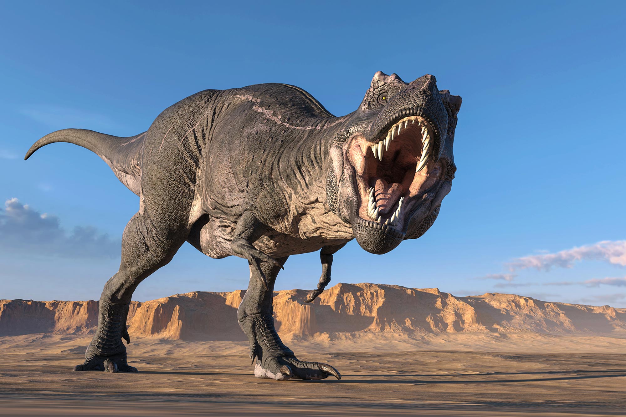Warum der T. rex winzige Arme hatte: Die Wissenschaftler haben es herausgefunden