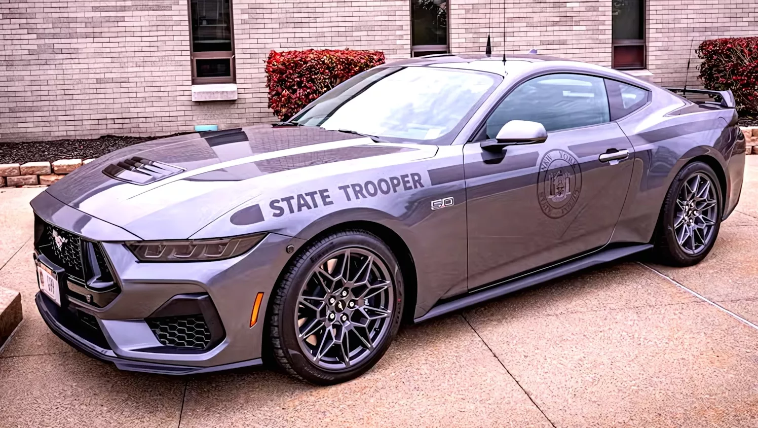 New Yorks Pursuit Mustangs sind 30 % günstiger als Patrouillen-SUVs | Carscoops