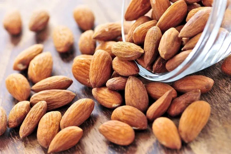 Scientists Reveal That Eating Almonds Every Day Could Transform Your Gut, Metabolism, and Appetite
