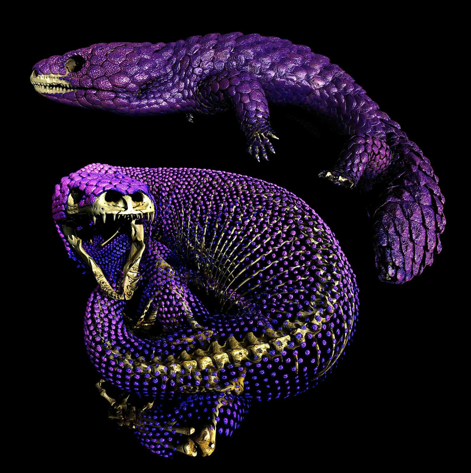 Wissenschaftler lösen 320 Millionen Jahre altes Rätsel der Reptilienpanzerung