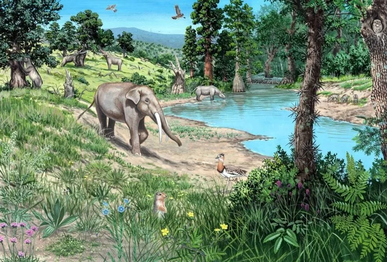 Europe Was Never a Giant Dark Forest, New 20-Million-Year Study Reveals
