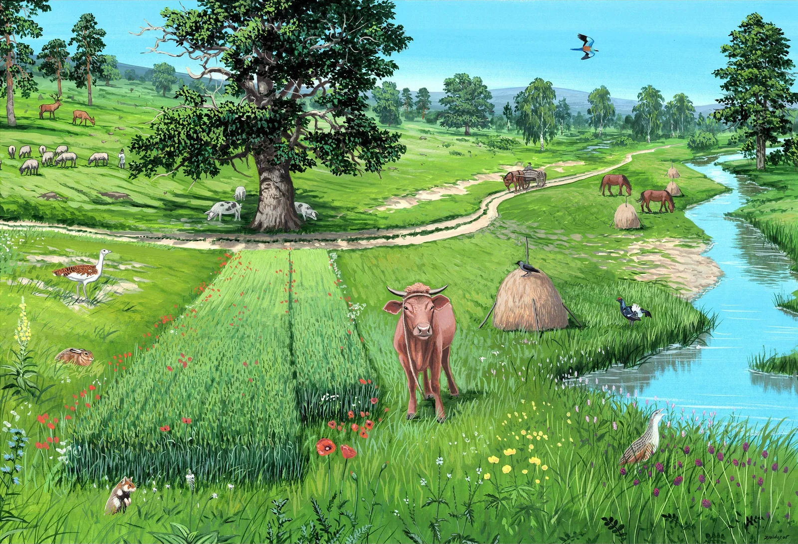 Neues 20-Millionen-Jahre-Studie widerlegt Mythos: Europa war nie ein riesiger dunkler Wald