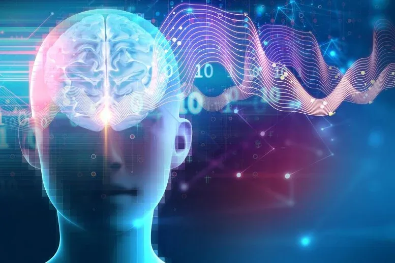 Scientists Discover Hidden Sleep Switch That Boosts Brainpower, Builds Muscle, and Burns Fat