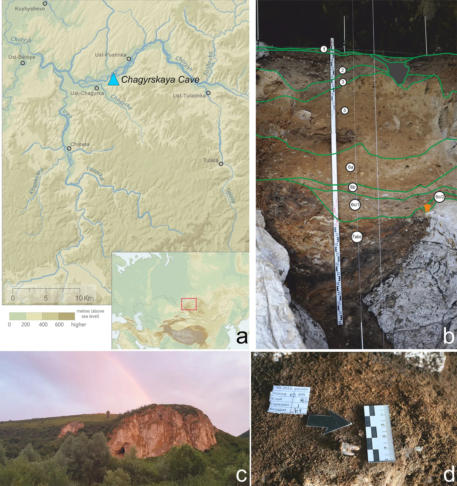 Neandertaler-Zahn aus 59.000 Jahren: Forscher sehen erste Belege für Operationen