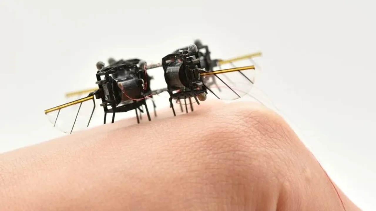 MIT entwickelt einen künstlich intelligenten Mikro-Roboter, der wie ein Insekt fliegen kann