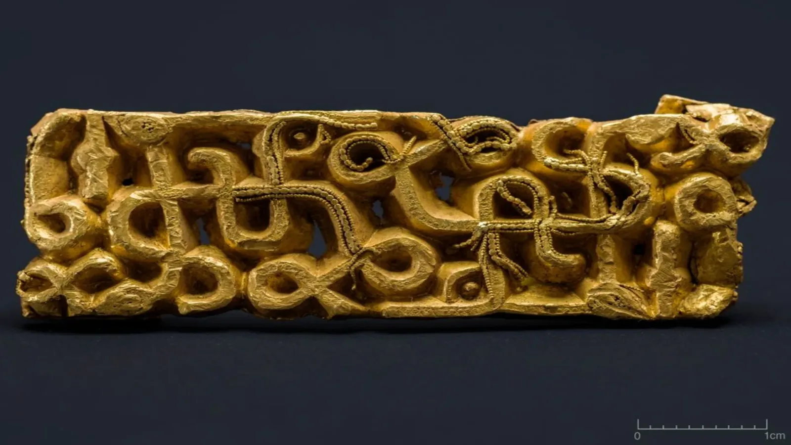 1.500 Jahre alter Krieger-Schnalle unter umgestürztem Baum entdeckt