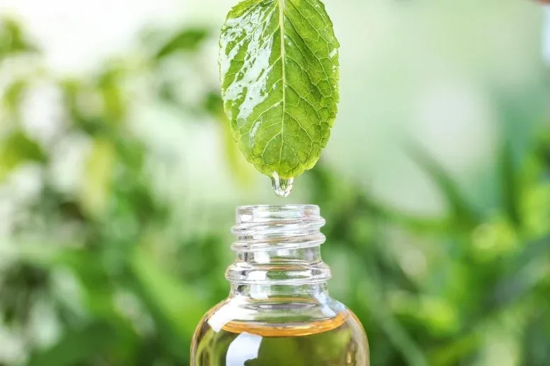 Scientists Discover Cheap, Natural Remedy for High Blood Pressure